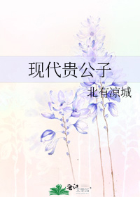 现代贵公子