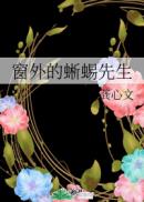 窗外的蜥蜴先生txt下载百度