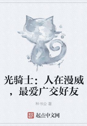 光影骑士下载