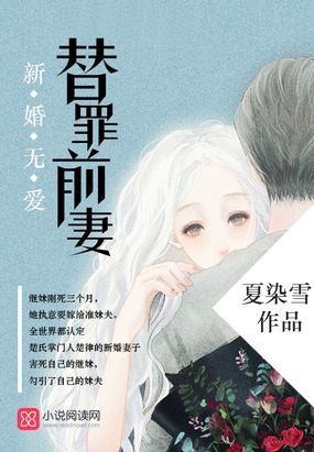 新婚无爱,替罪前妻