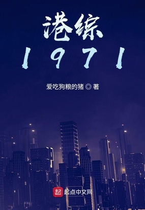 港综1971港综世界的警察txt