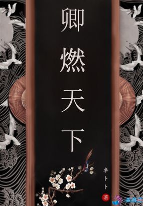 卿燃天下