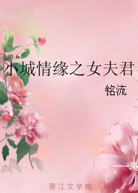 小城情缘之女夫君154